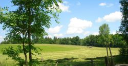 2013-06-08_Radtour_Iffeldorf-Aiderbichl (21)b.JPG